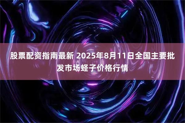 股票配资指南最新 2025年8月11日全国主要批发市场蛏子价格行情