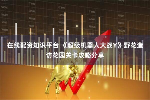 在线配资知识平台 《超级机器人大战Y》野花造访花园关卡攻略分享