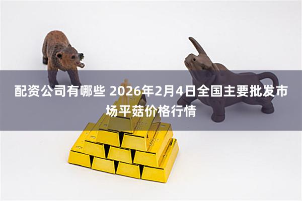 配资公司有哪些 2026年2月4日全国主要批发市场平菇价格行情