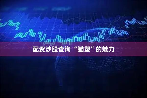 配资炒股查询 “猫塑”的魅力