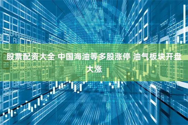 股票配资大全 中国海油等多股涨停 油气板块开盘大涨