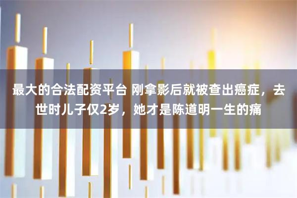 最大的合法配资平台 刚拿影后就被查出癌症，去世时儿子仅2岁，她才是陈道明一生的痛